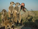 Africa 112 : Africa, Animal, Botswana, Makgadikgadi, Mammal, Meerkat, People, Thomas Vogelsang